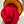 Sterling Aurelia™ Color-Trim Wool-Felt Fedora