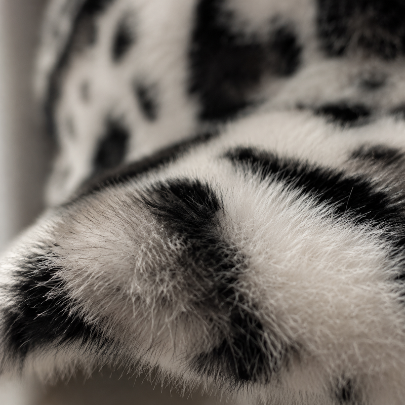 Leopard Print Faux Mink Cap™ Warm Adjustable Duckbill Hat
